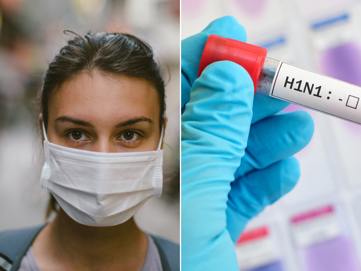 Грипп б 1. Грипп h1n1. Вьетнамский грипп. Мониторинг птичий грипп. Учения по птичьему гриппу.