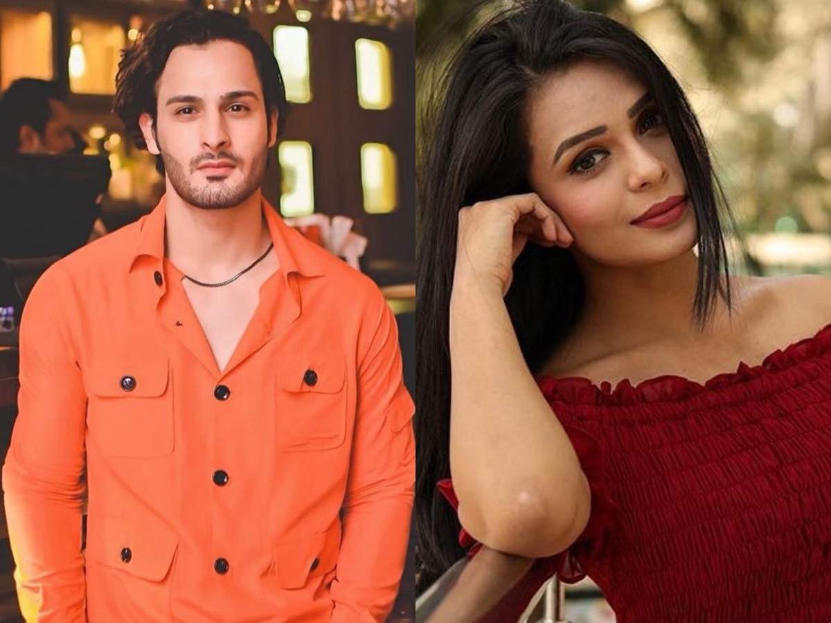 Bigg Boss 13 Asim S Brother Umar Calls Sonal Vengurlekar A Flop Actor The Latter Shares Screenshots Of Their Chat Times Of India