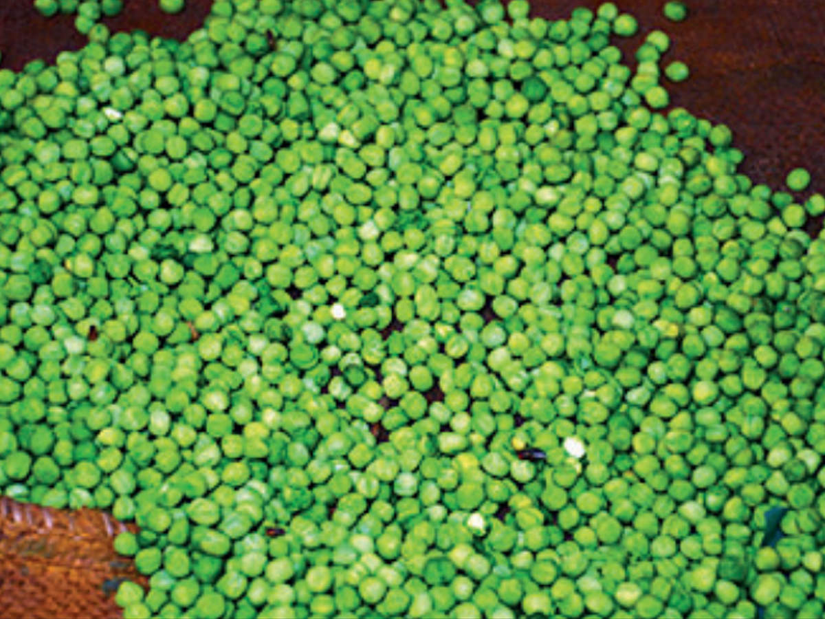 <p>Due to heavy demand of peas in other states, cost of peas transported from the northern states becomes very high and ranges up to Rs 60/kg<br></p>