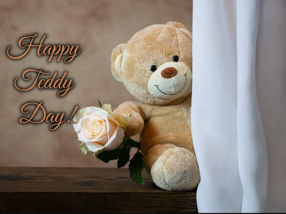 teddy teddy day