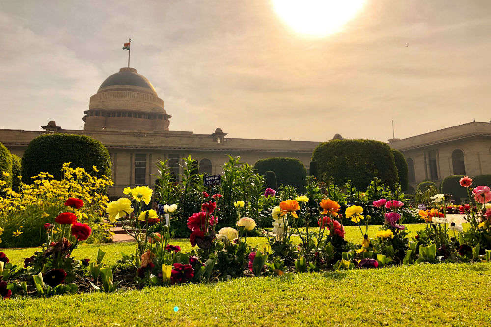 Mughal Gardens at Rashtrapati Bhavan to remain open for visitors till March 8