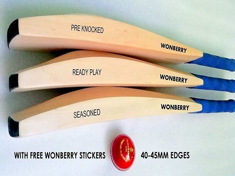 English willow cricket bats for professional players Most Searched