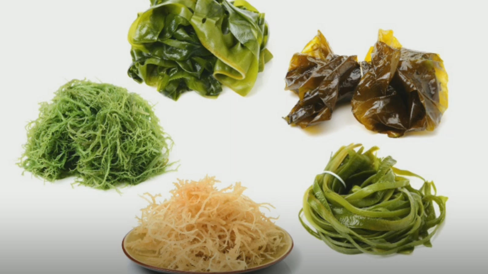 what is seaweed called in hindi