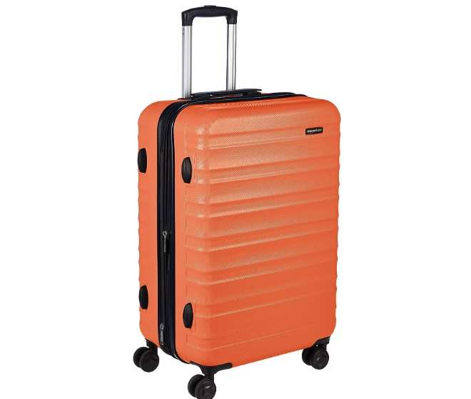 amazonbasics trolley bag