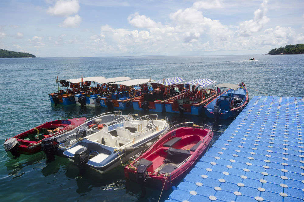 Andaman and Nicobar Islands bar tourist entry; popular sites closed till March 26