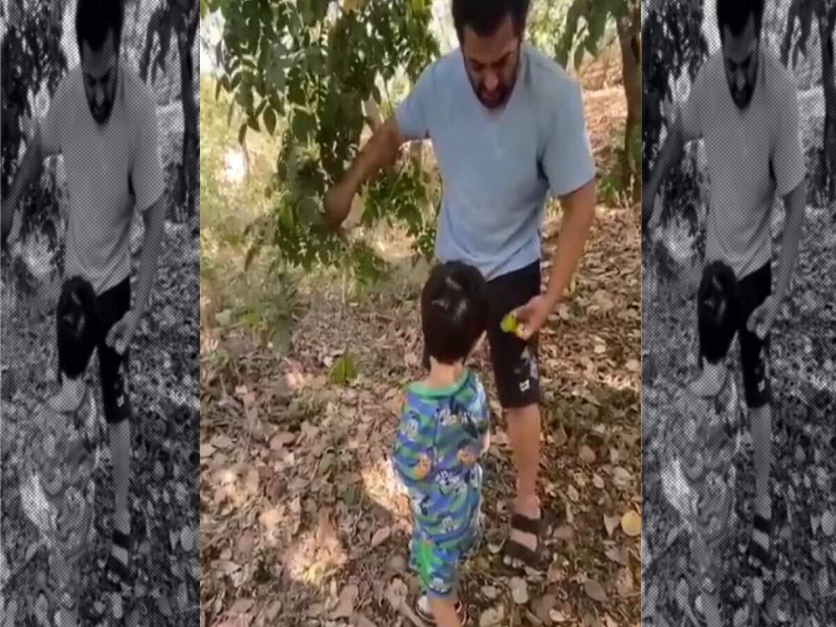 Salman Khan and Ahil going for fruit picking is the cutest thing you will see on the internet today thumbnail