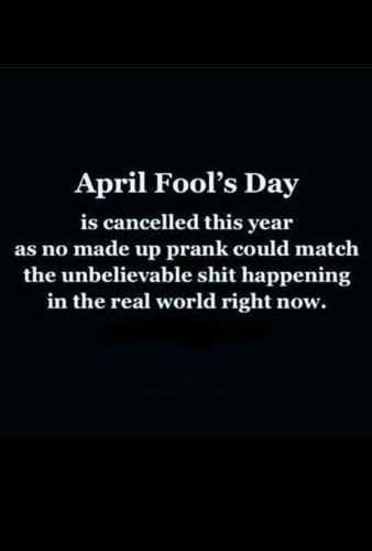 April Fool's Day 2020 Memes, Wishes, Messages & Images: Funny memes and  messages that will make your laugh out loud | - Times of India