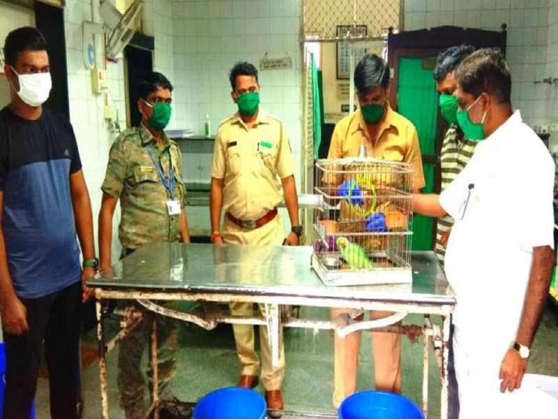 Animal rights activists had earlier on Saturday urged the police, municipal and forest authorities to immediately remove a caged parrot which had not eaten for over three days
