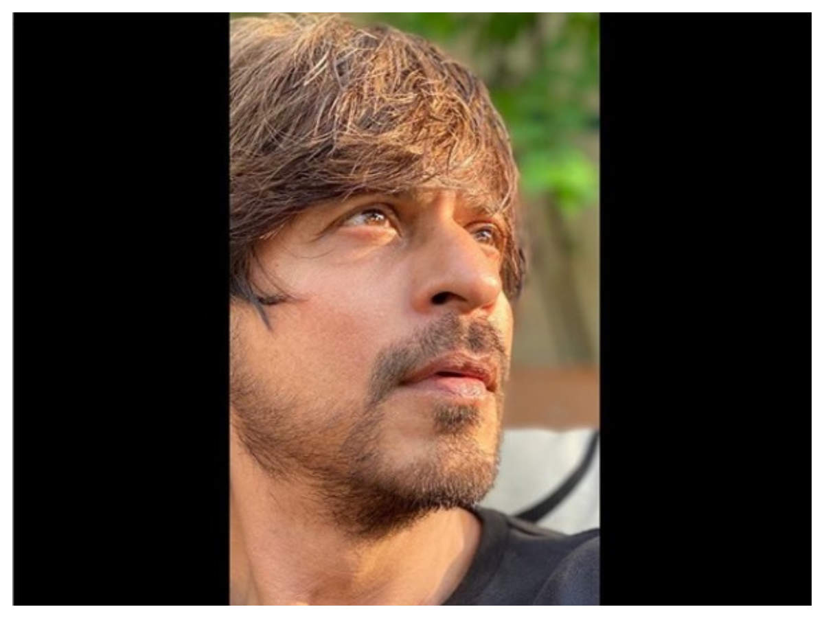Shah Rukh Khan's latest selfie and his words of wisdom are all you need to  beat your lockdown blues at home | Hindi Movie News - Times of India