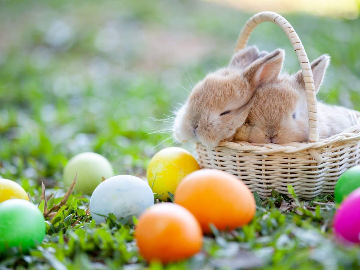 Easter greetings for kids