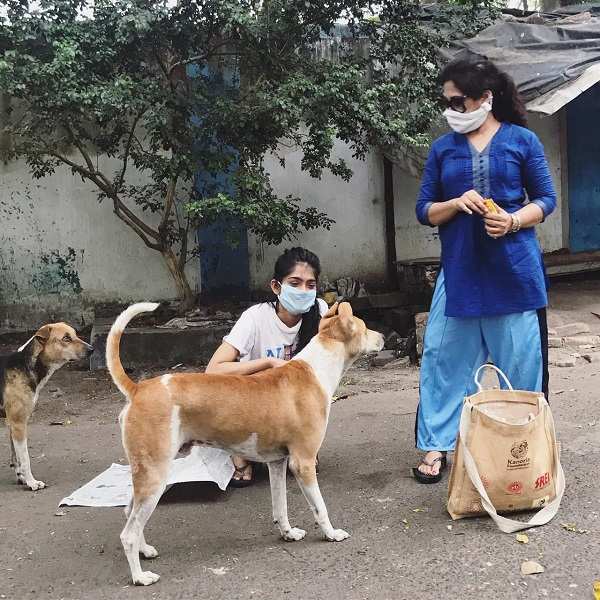 LockdownHelpingHand: Anusha feeds stray dogs and cats | Kolkata News -  Times of India