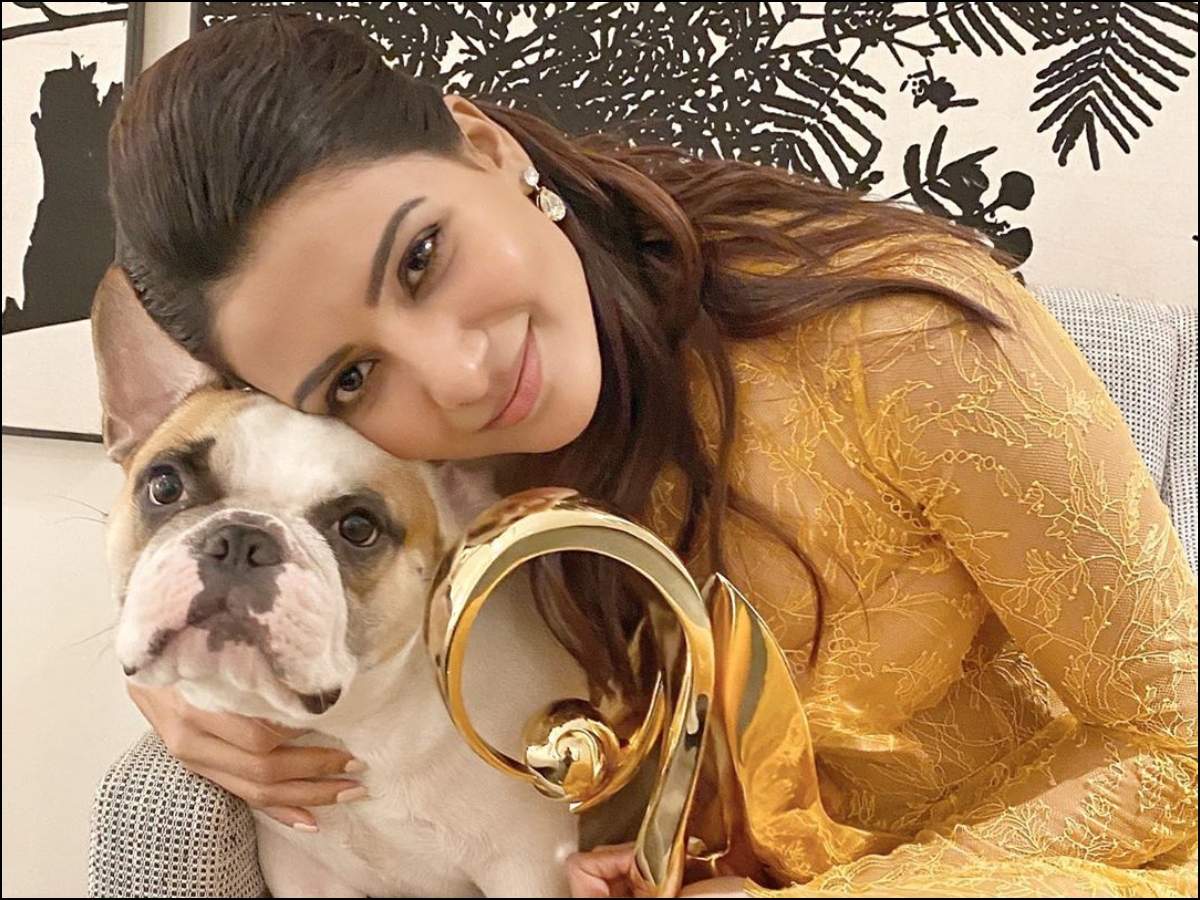 Samantha Akkineni has the cutest companion at work. Can you guess