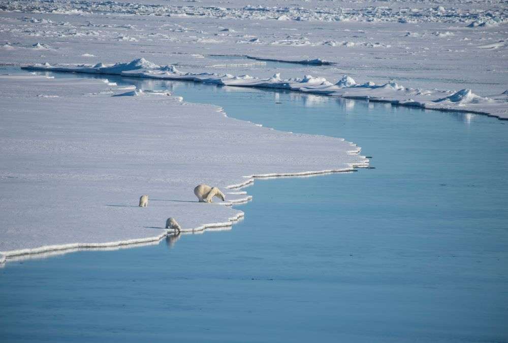 Arctic Ocean will likely see ice-free summers before 2050, says study