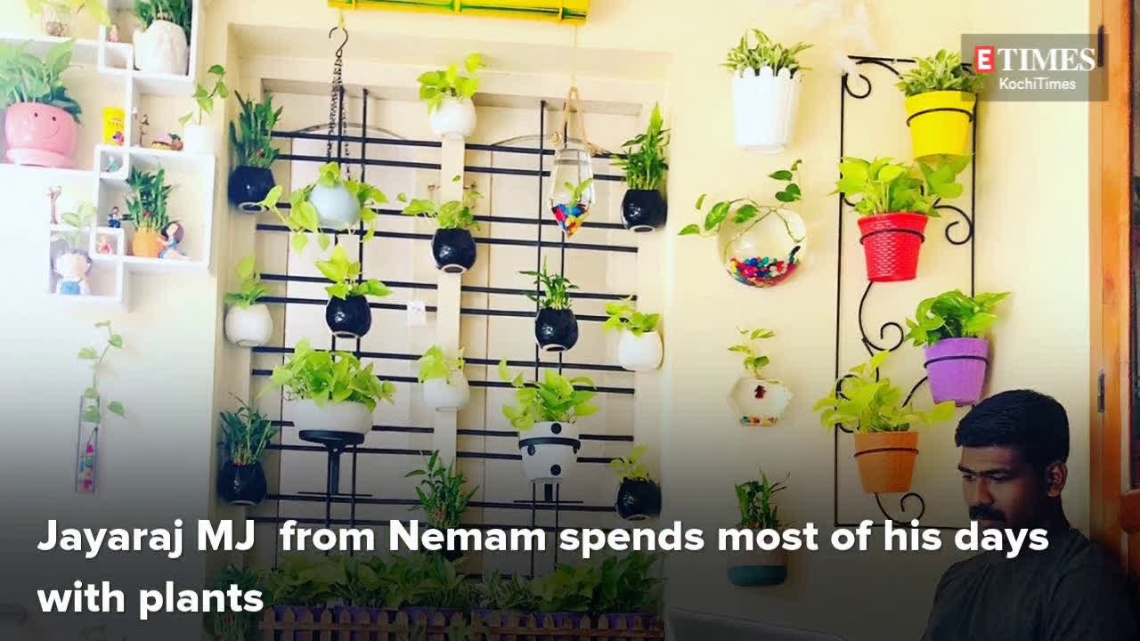 This Thiruvanathapuram Native Shares Some Indoor Green Ideas For Lockdown Time Malayalam Movie News Times Of India - Money Plant Ideas Malayalam