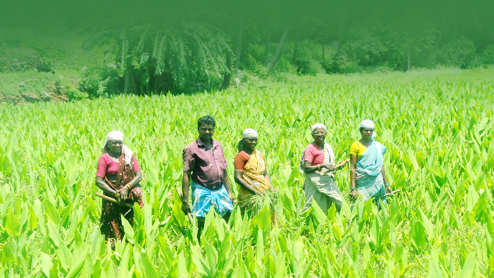 How lockdown has helped turn ‘farm to fork’ dream into reality