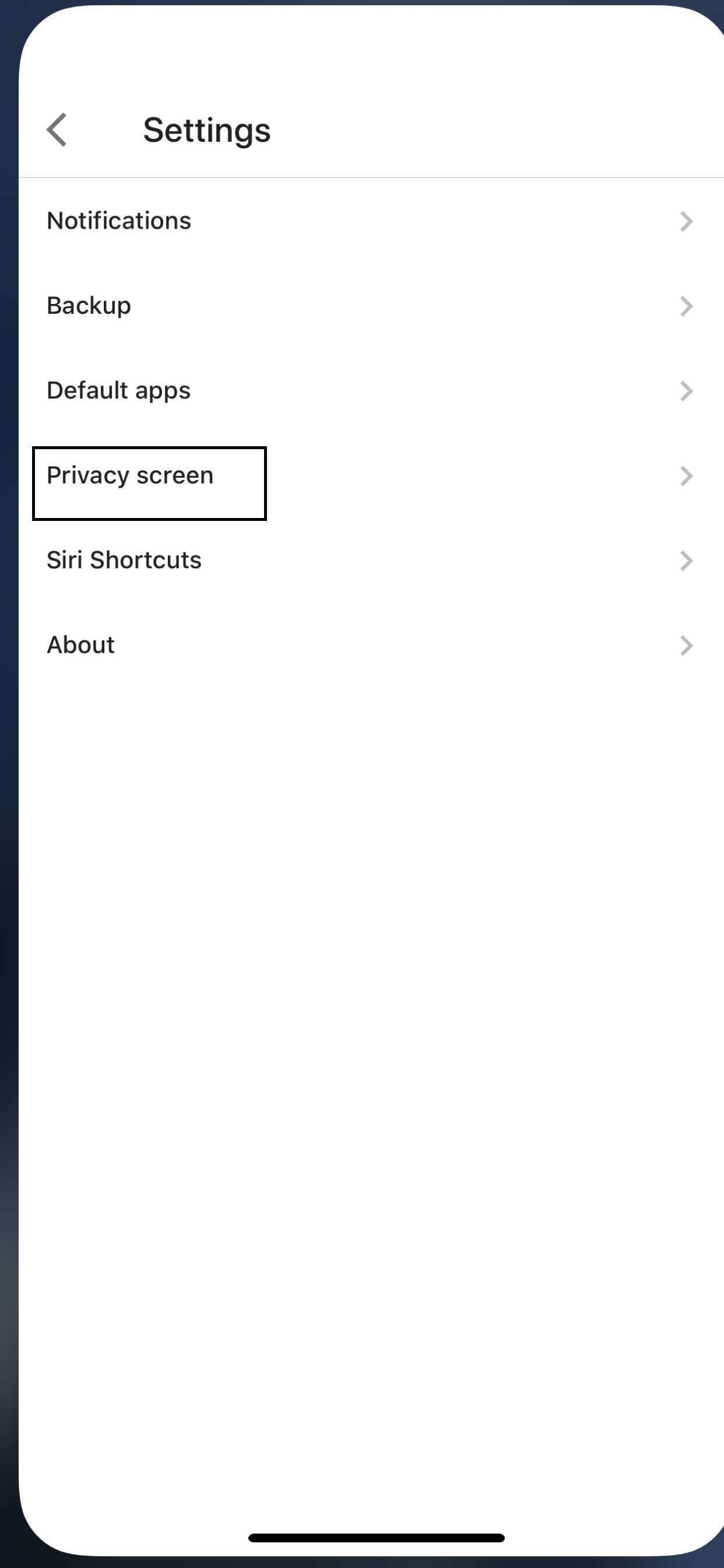 How to lock Google Drive using the Privacy Screen feature on iPhone and