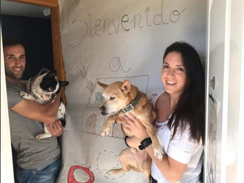 Fran Morante with his girlfriend Elizabeth and dogs, Miko and Lolo, after reaching his home in Cordoba.