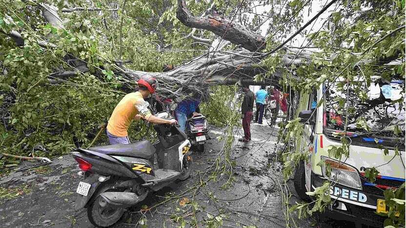 Live: Army deployed in cyclone-ravaged Kolkata