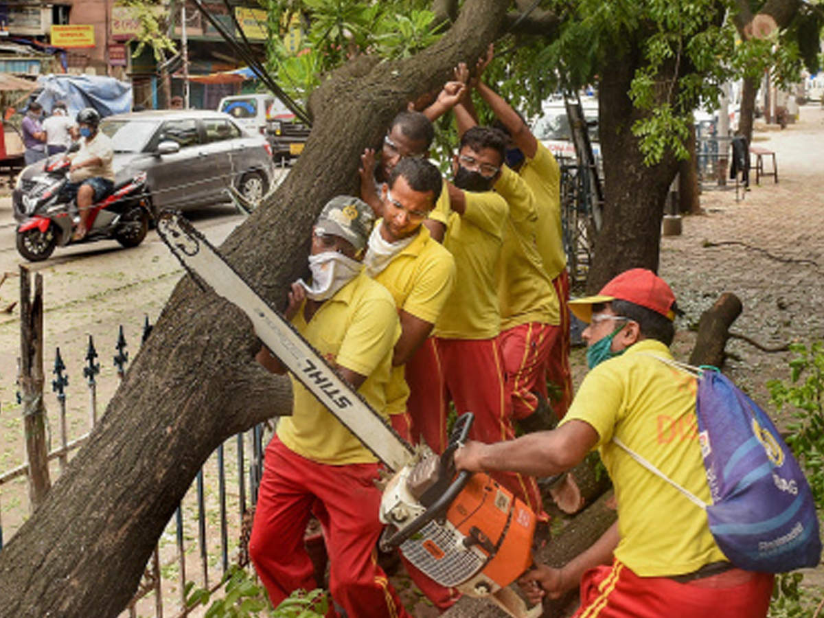 Odisha Fire and Disaster personnel cut an uprooted tree to clear a road, in the aftermath of Cyclone Amphan, in Kolkata on Monday. (PTI photo)