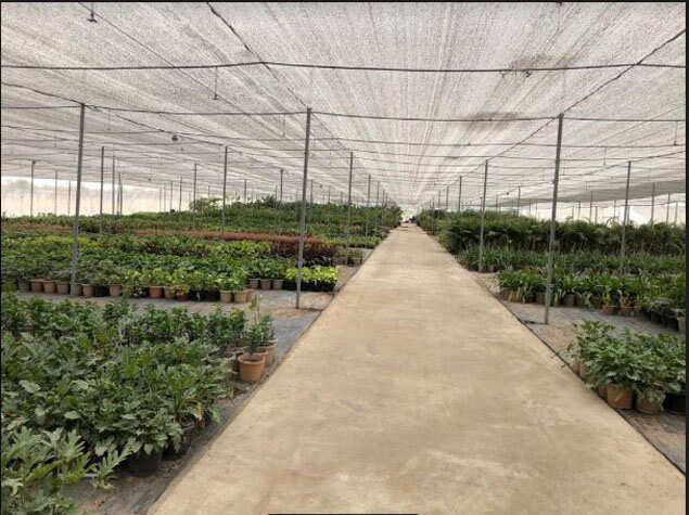 nursery 1