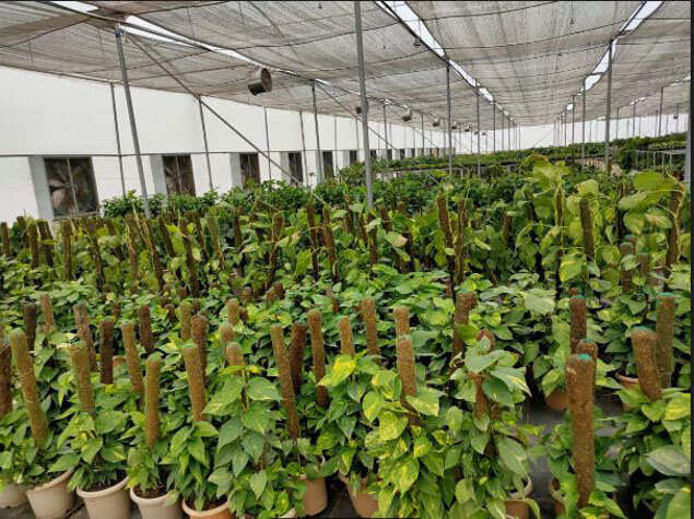 nursery 2