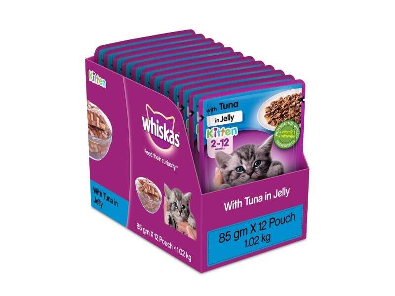 cheap kitten food
