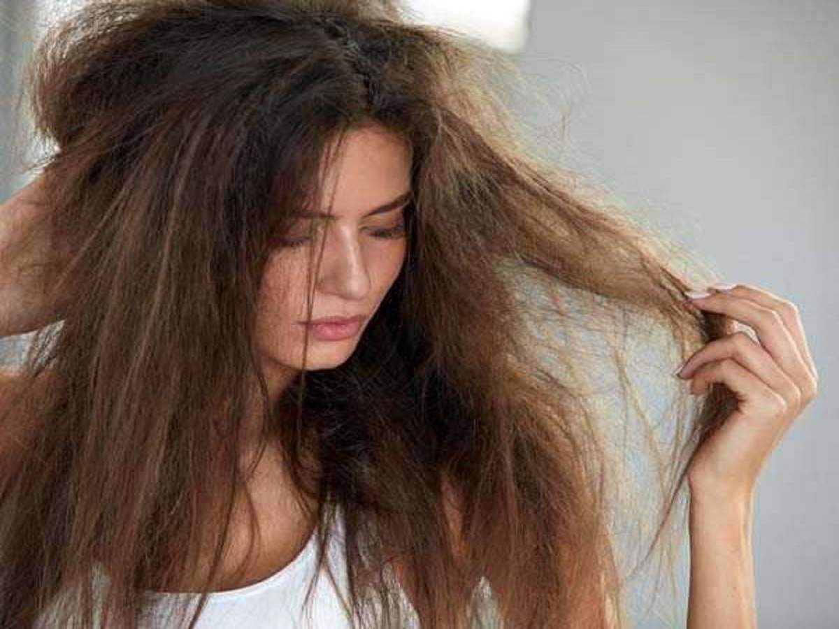 Shampoo for Dry Hair: Manage your dry and dull hair with these shampoos | -  Times of India