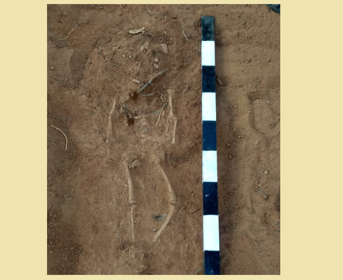 The skeleton of the child found at Konthagai 