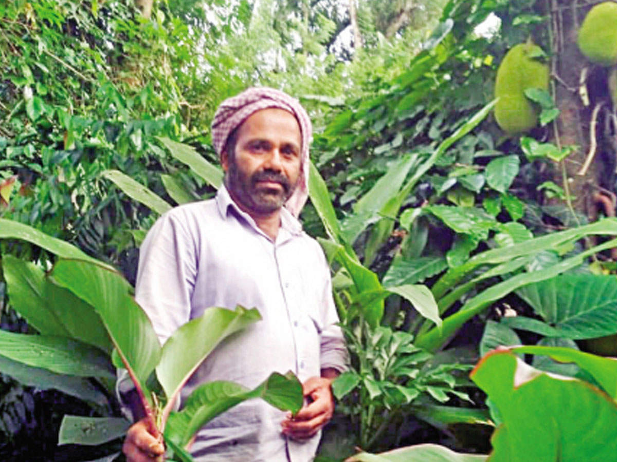 Shaji N M of Wayanad spent over Rs 2 lakh to replant over 200 tuber varieties he has been conserving amid the lockdown