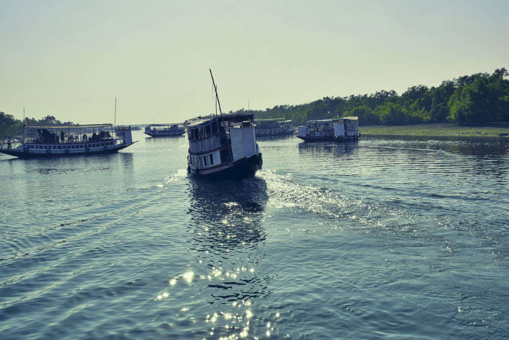 Sundarban Tiger Reserve opens for tourists with all the safety measures