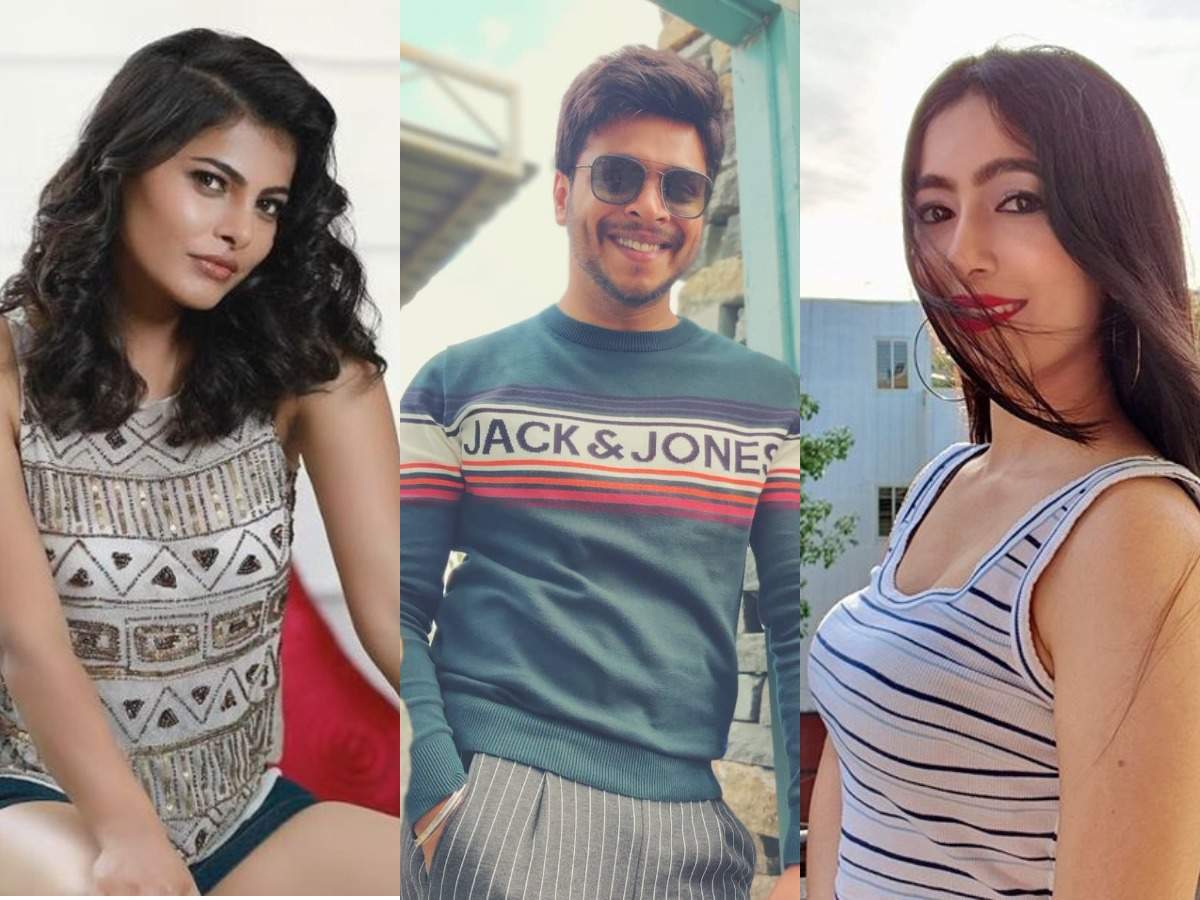 Exclusive! From Adhvithi Shetty to MG Srinivas and Pavana Gowda, Kananda  celebrities react to the ban on TikTok | Kannada Movie News - Times of India