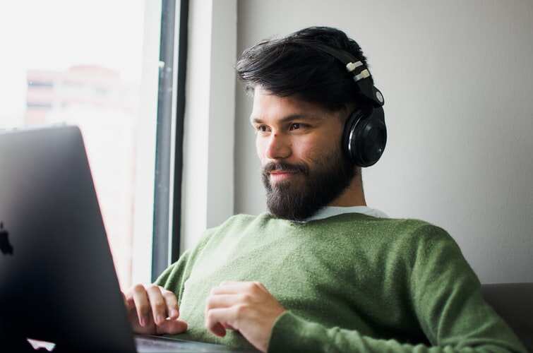 zebronics headphones with mic for pc
