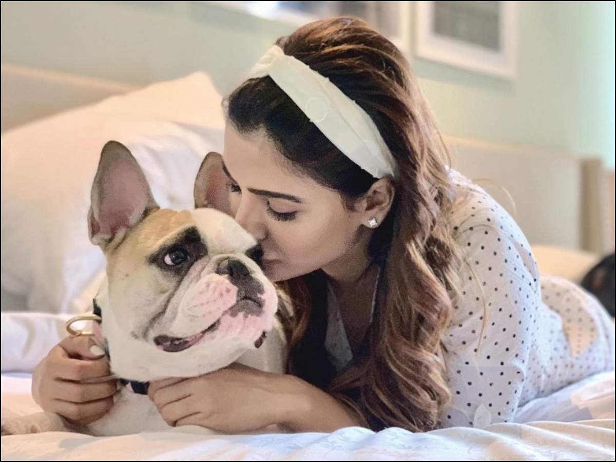 Samantha Akkineni has the cutest companion at work. Can you guess