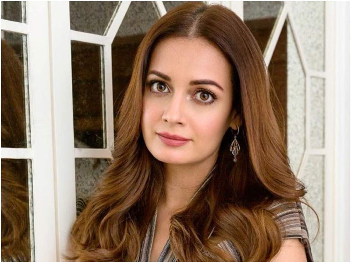 Dia Mirza Beauty Tips and Fitness Secrets | Styles At Life