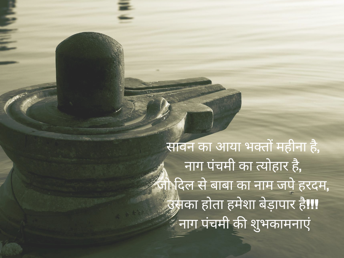 Happy Nag Panchami 2021: Images, Quotes, Wishes, Messages, Cards, Greetings, Pictures and GIFs | - Times of India Happy Nag Panchami 2021: Images, Quotes, Wishes, Messages, Cards, Greetings, Pictures and GIFs | - Times of India