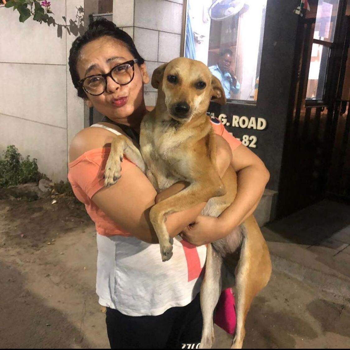 dogs are like children