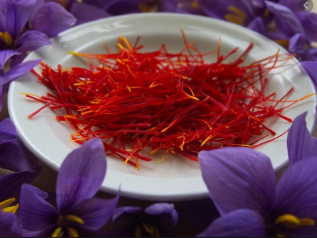 Kashmiri saffron gets GI tag | India News - Times of India