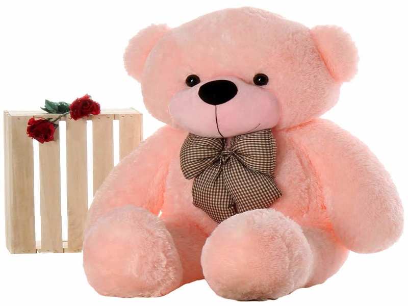teddy bear gift for sister