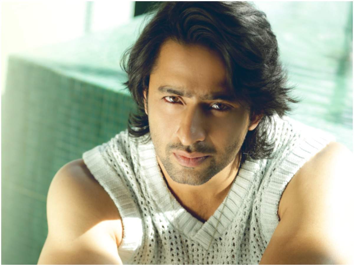 Shaheer Sheikh: Initially, I was a bit scared of resuming work on the sets  in the pandemic - Times of India