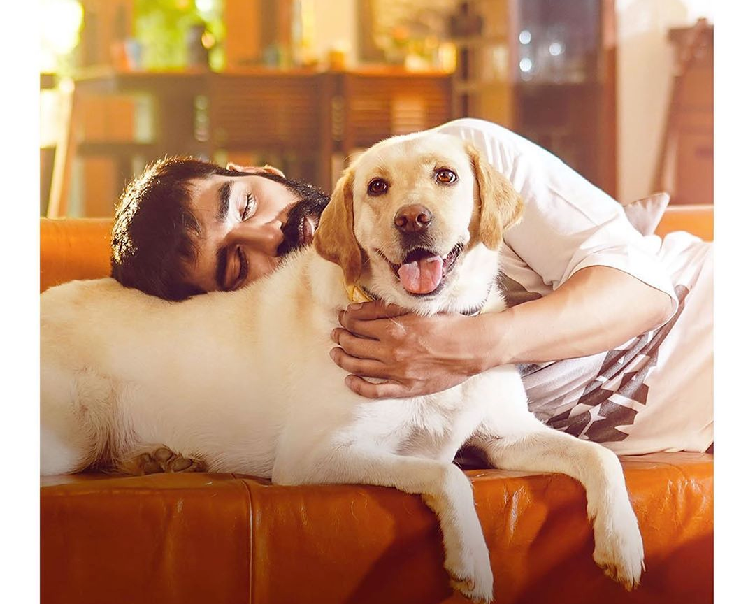 Maninder Buttar names album after his pet dog | - Times of India