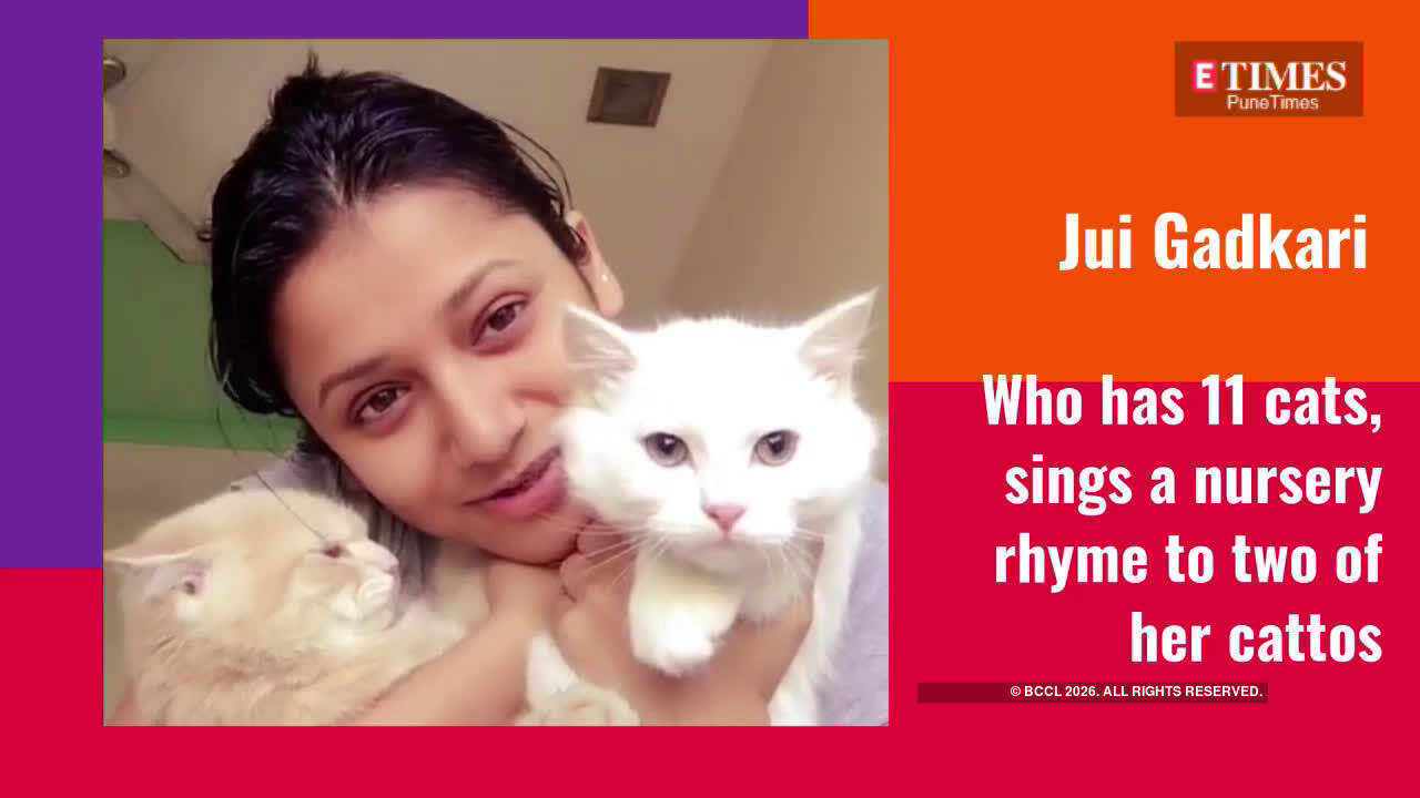 female cat in marathi