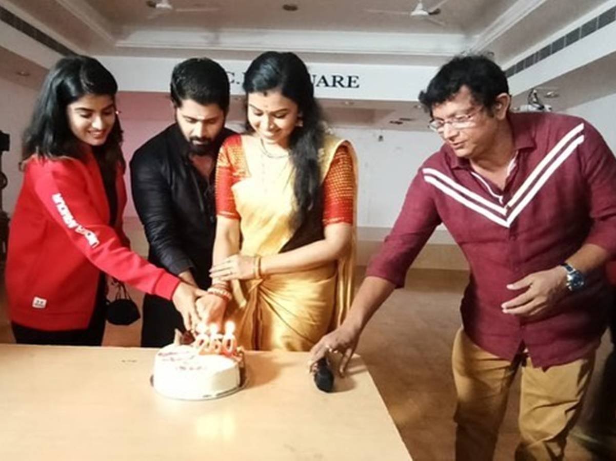 Sumangali Bhava completes 250 episodes; team celebrates the milestone