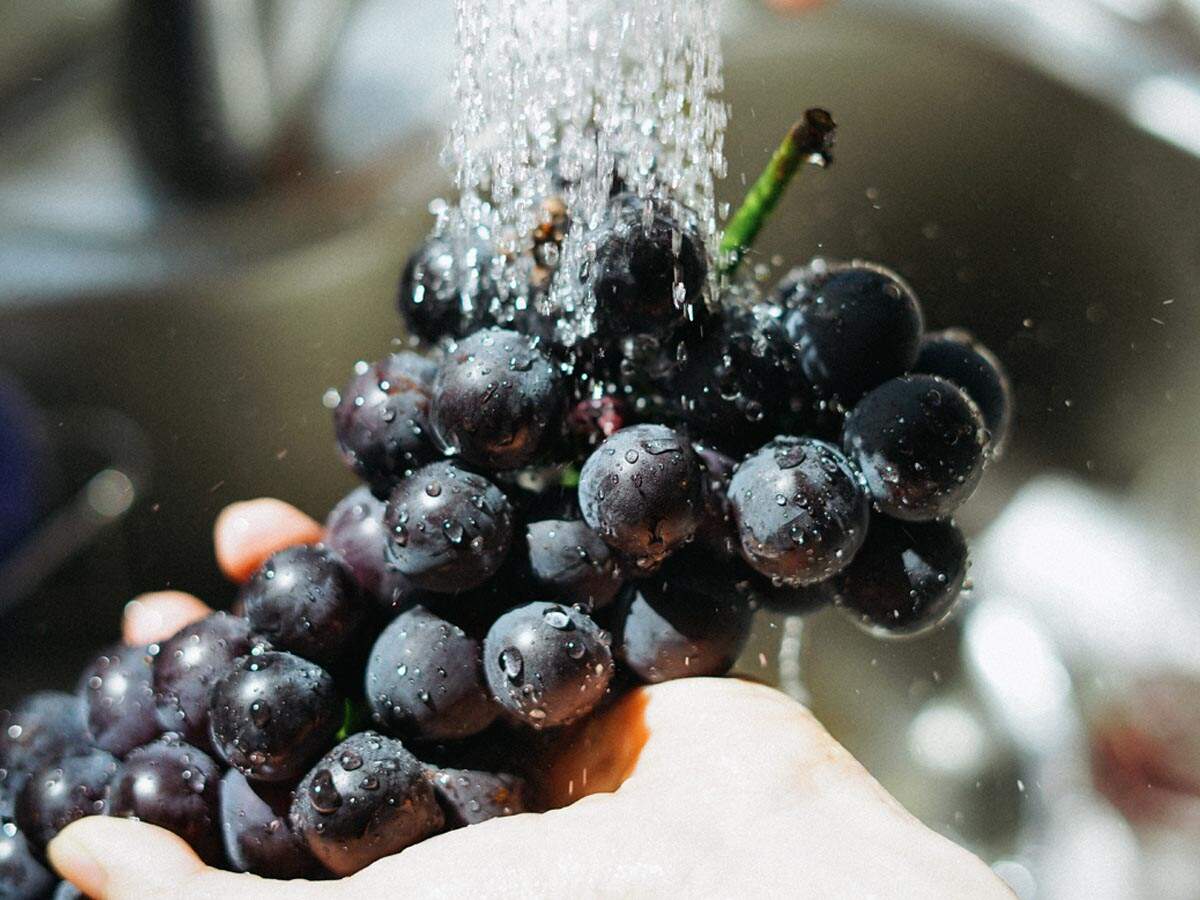Touchless Kitchen Faucets That Will Ease Cleaning Up And Maintenance Most Searched Products Times Of India