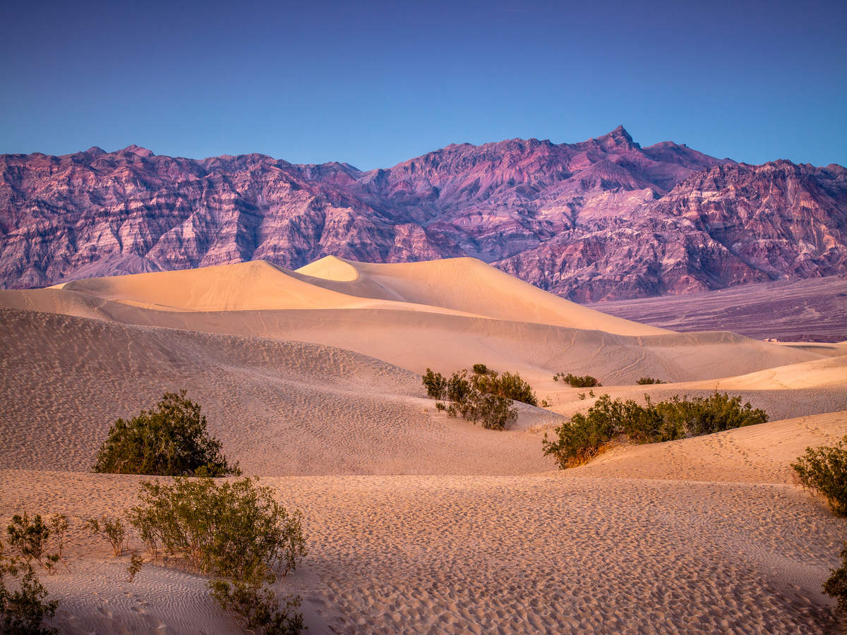 Death Valley in California records the highest temperature in 100 years!