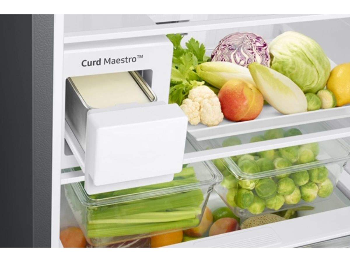 curd maestro fridge