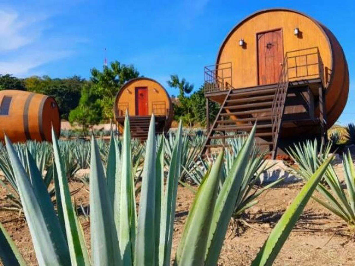 Get ready to sleep in a tequila barrel in Mexico and drink right from the source