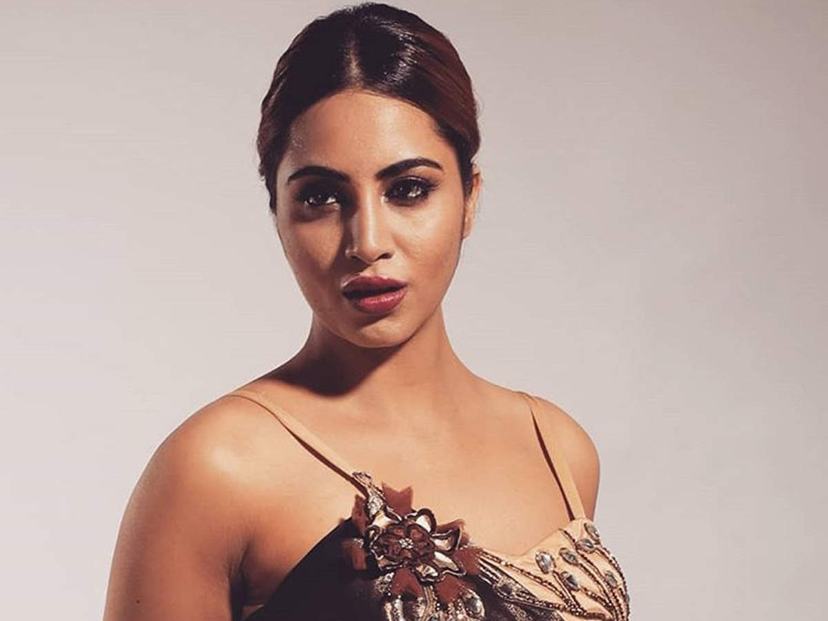 Season 11 contestant Arshi Khan: I don't want to go inside 'Bigg Boss'  house as a celeb guest and advise contestants - Times of India