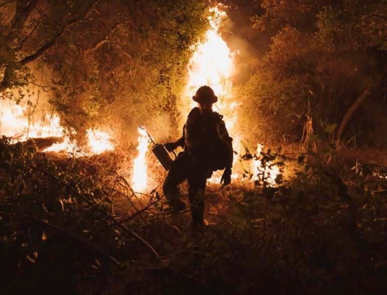 Firefighters light backfires at the Bobcat Fire at Santa Anita Canyon in Arcadia, California (NYT)