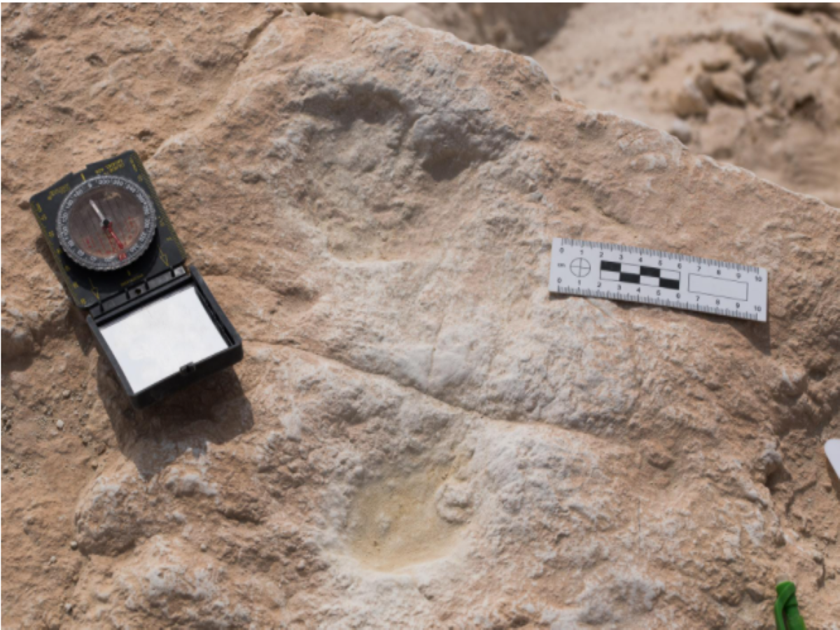 120000 years old human footprints traced in Saudi Arabia