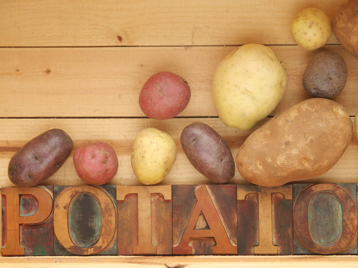 Types of potatoes, nutrition and their uses